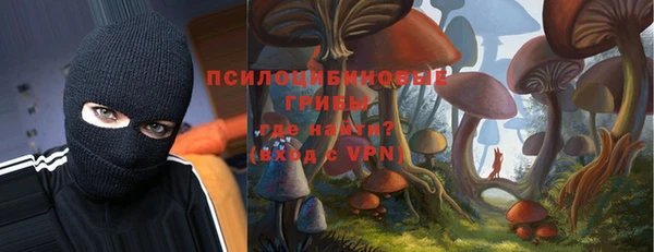 прущая мука Надым