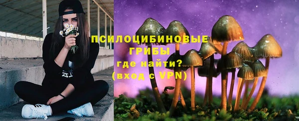 прущая мука Надым