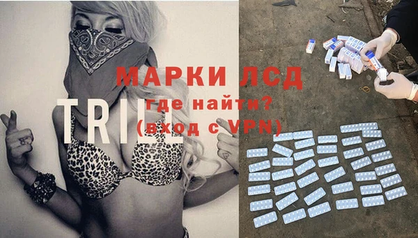 шишки Михайлов