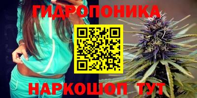гашик Гай