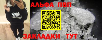 амф Гатчина