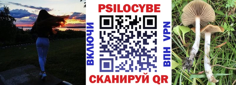 Псилоцибиновые грибы мицелий  купить   Павлово 
