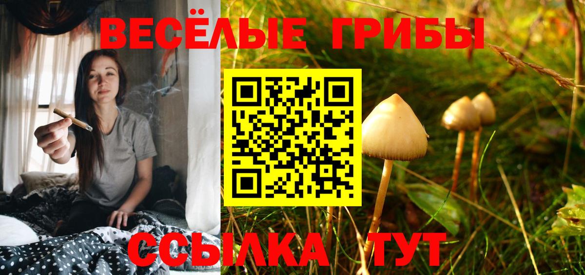 Галлюциногенные грибы MAGIC MUSHROOMS Павлово